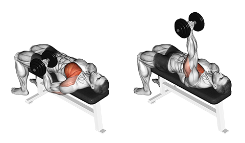 Chest press single arm sale